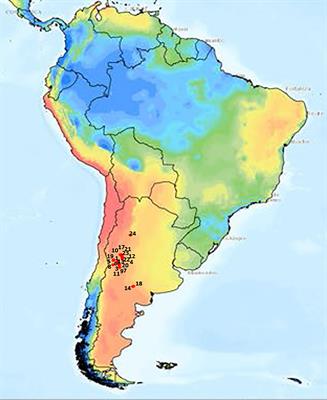 Genetic diversity for drought tolerance in the native forage grass Trichloris crinita and possible morpho-physiological mechanisms involved